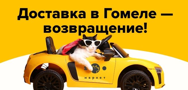 Гомель, мы возвращаемся!